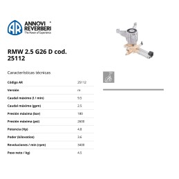 Bomba de alta presion RMW 2.5G26D, Ø-7/8, para motor a gasolina.